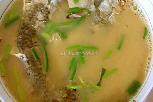 鲫鱼汤的做法图解3
