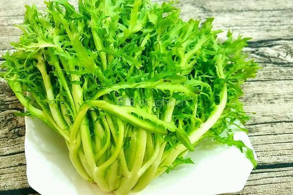 凉拌苦菊的做法图解1