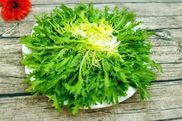凉拌苦菊的做法图解2