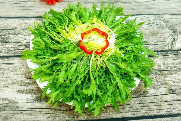 凉拌苦菊的做法图解3