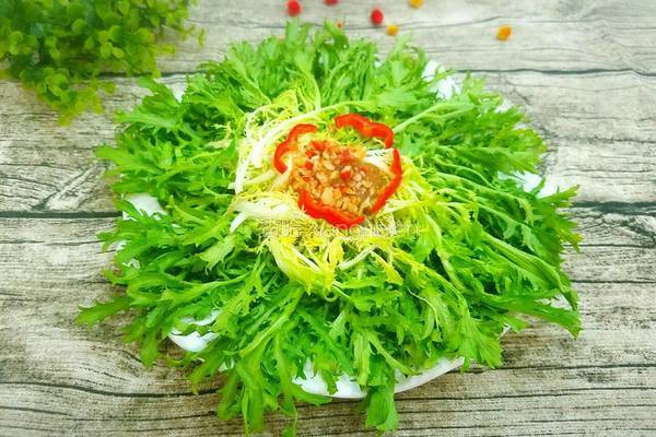 凉拌苦菊的做法图解6
