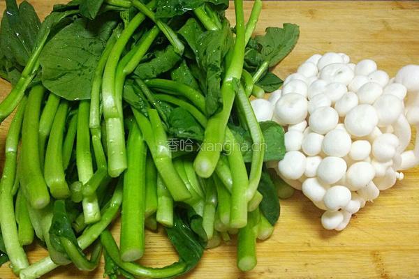 海鲜菇炒菜心的做法图解1