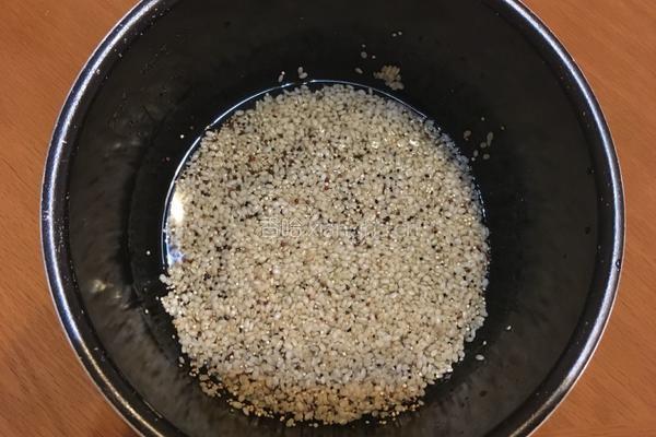 糙米藜麦粥的做法图解1