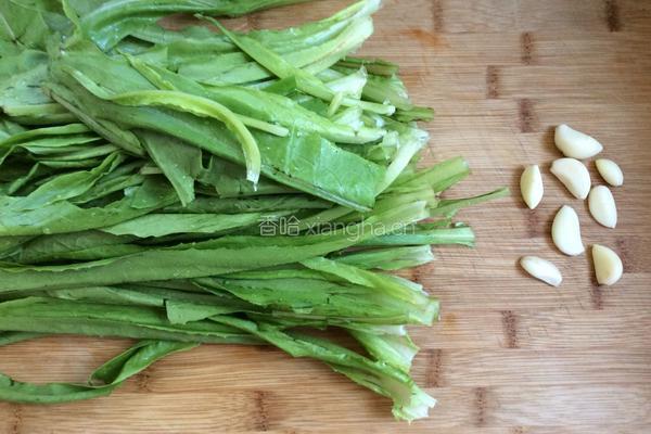 蒜蓉油麦菜的做法图解1