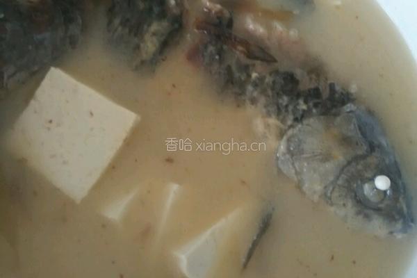 豆腐鲫鱼汤的做法图解4