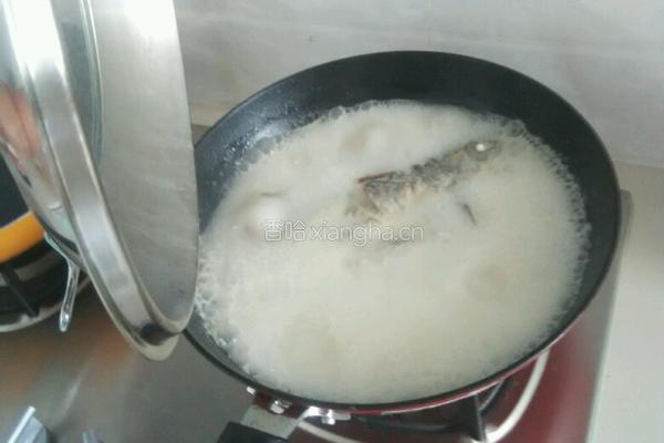 豆腐鲫鱼汤的做法图解3