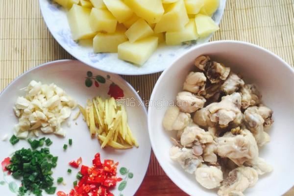 土豆烧鸡的做法图解6