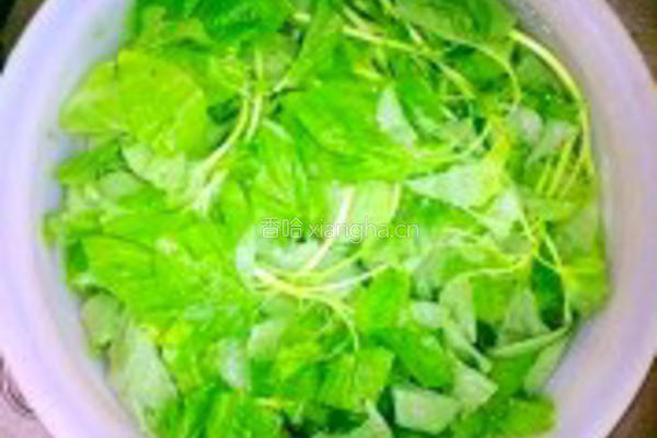 蒜香白苋菜的做法图解1