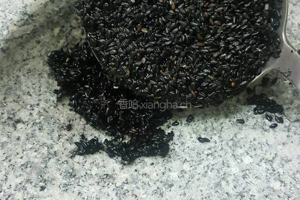 石磨芝麻糊的做法图解2