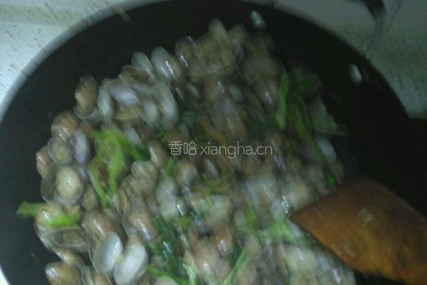 炒蛤蜊（炒嘎啦）的做法图解7