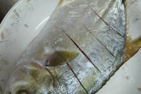 清蒸白鲳鱼的做法图解1