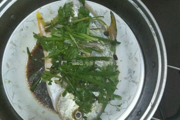 清蒸白鲳鱼的做法图解5