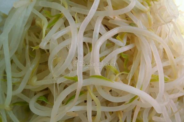 凉拌绿豆芽的做法图解4