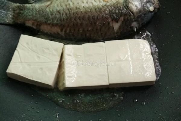 鲫鱼豆腐汤的做法图解5