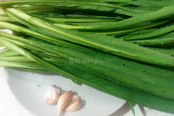 蒜香苦麦菜的做法图解1