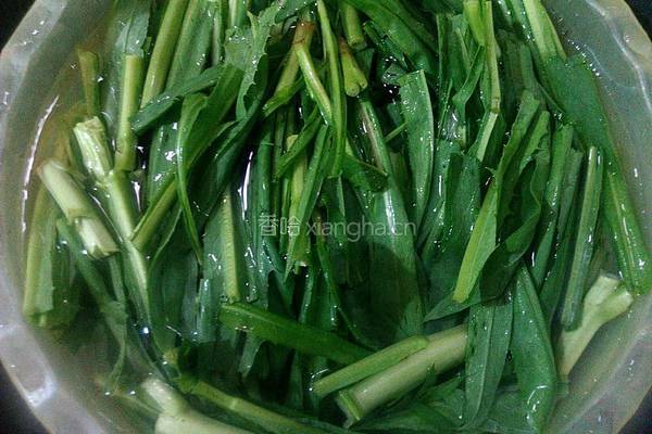 蒜香苦麦菜的做法图解2