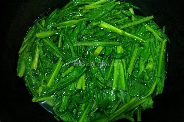 蒜香苦麦菜的做法图解4