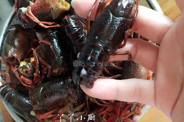 油焖大虾的做法图解2