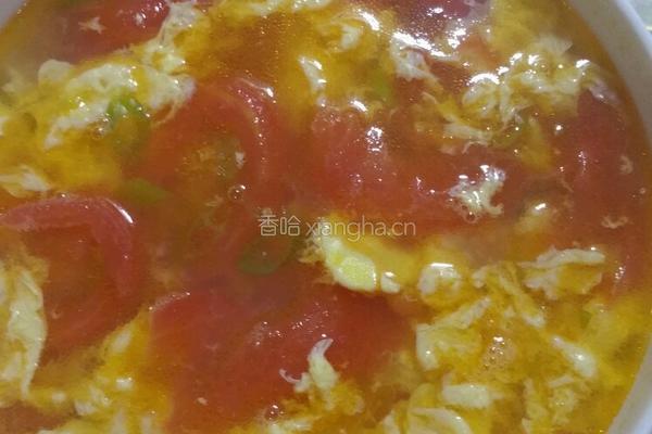 西红柿甩绣汤的做法图解5