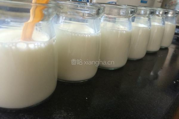 电饭煲做酸奶的做法图解3