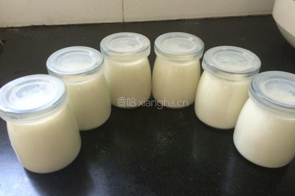 电饭煲做酸奶的做法图解5