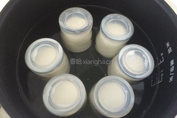 电饭煲做酸奶的做法图解6