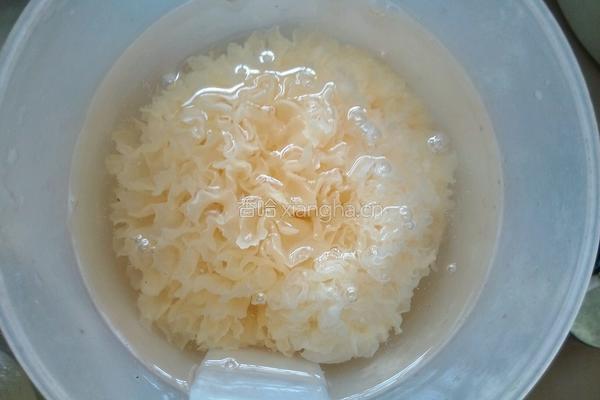 苹果炖银耳羹的做法图解1