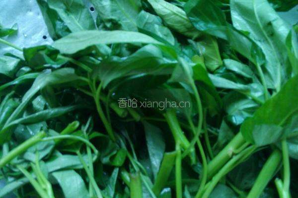 蒜泥空心菜的做法图解1