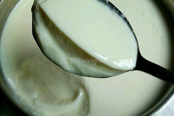 自制老酸奶的做法图解4