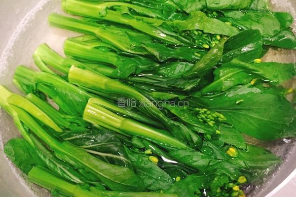 蒜蓉菜心的做法图解3