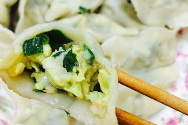 虾仁韭菜鸡蛋馅儿饺子的做法图解6
