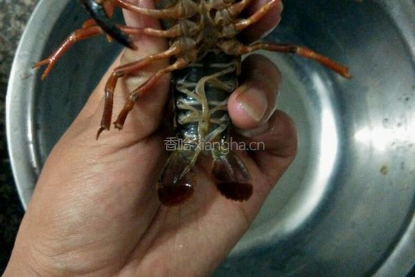 香甜小龙虾的做法图解2