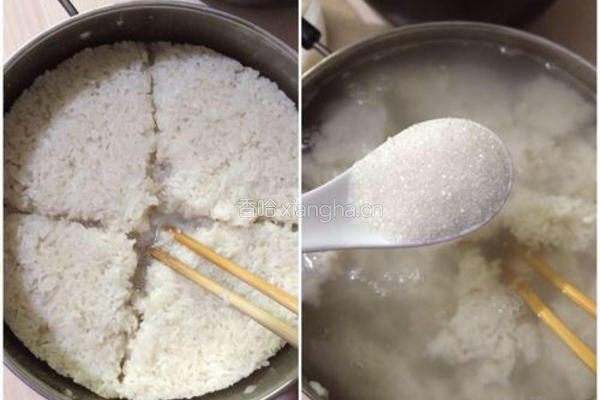 自制甜酒的做法图解7