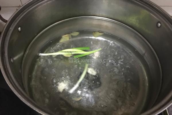 白灼虾的做法图解4