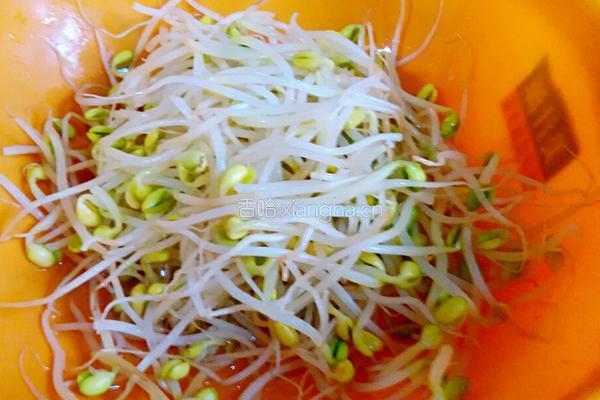 酸辣黄豆芽（治疗口腔溃疡的良方）的做法图解3