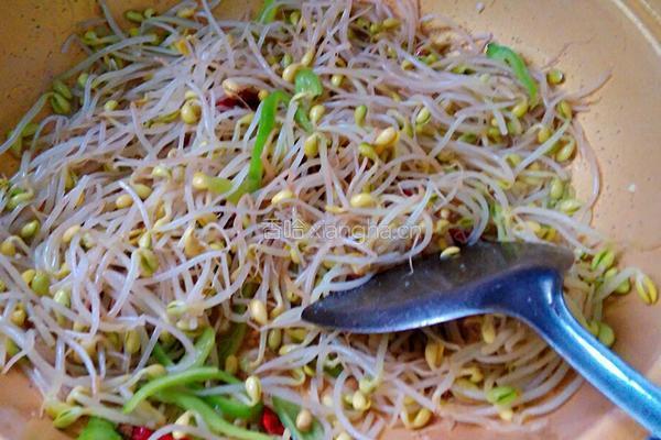 酸辣黄豆芽（治疗口腔溃疡的良方）的做法图解6