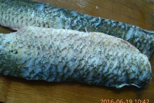 干炸鱼肉的做法图解1