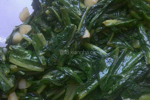 蒜香油麦菜的做法图解6