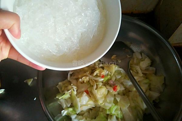 粉丝包菜的做法图解6
