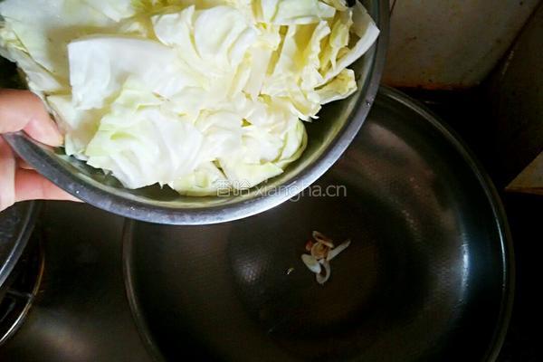 粉丝包菜的做法图解4