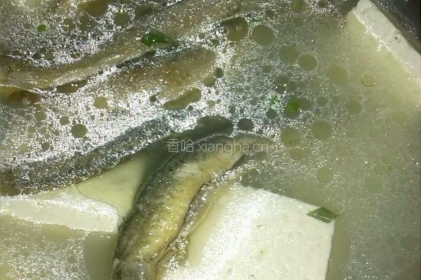 泥鳅豆腐汤