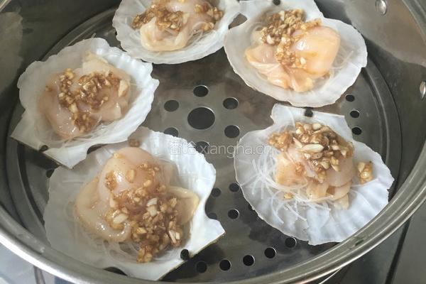 蒜蓉粉丝蒸扇贝的做法图解5