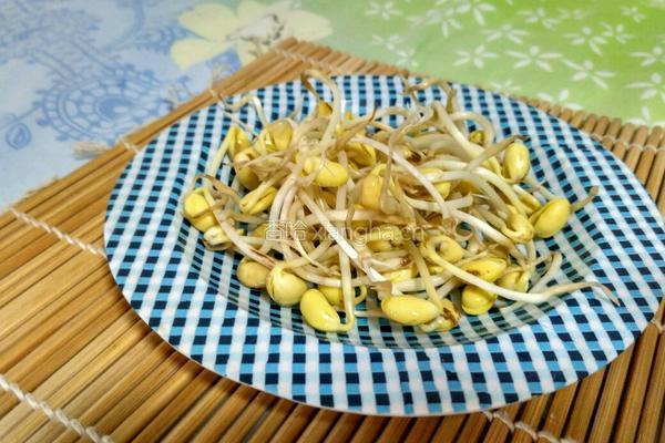 自发黄豆芽的做法图解4