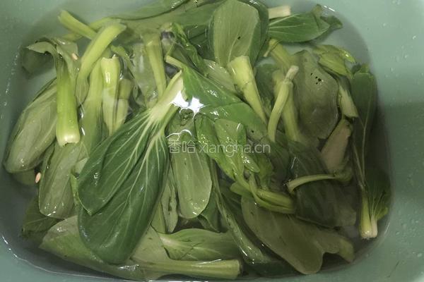 热拌小青菜的做法图解1