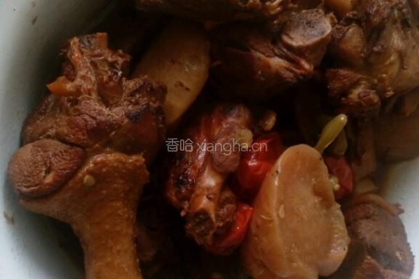 萝卜烧鸭