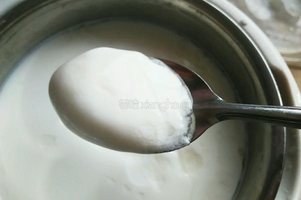 原味自制酸奶的做法图解7