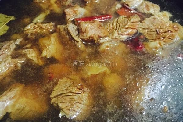 西红柿炖牛腩的做法图解10