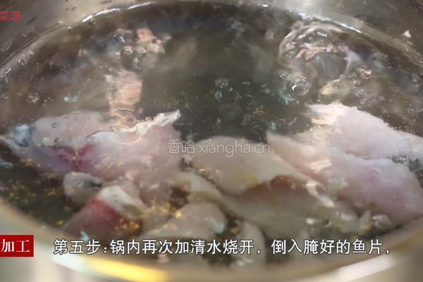 川香水煮鱼的做法图解5