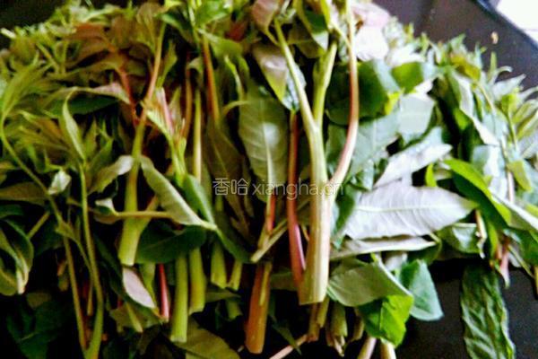 腊肉炒香椿的做法图解1