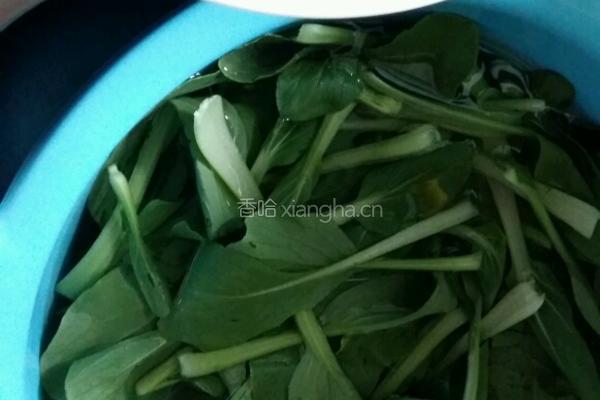 香菇炒青菜的做法图解1